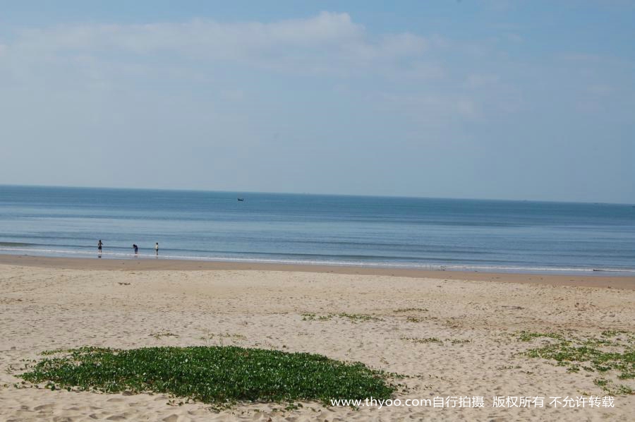 阳江沙滩海浪很漂亮